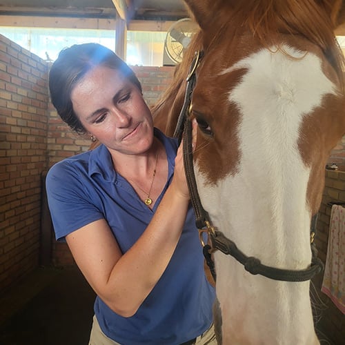 Equine Chiropractic Care, Longmont Vets