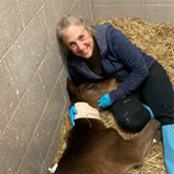 Dr. Jenifer Gold, Longmont Veterinarian